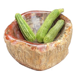 Red Petrified Wood Bowl 42.95 Lb