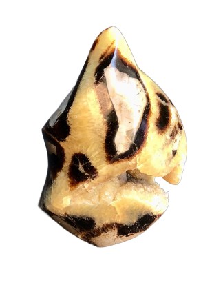 Septarian Flame with Geode