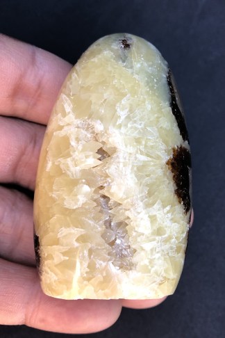 Septarian Free Form with Geode