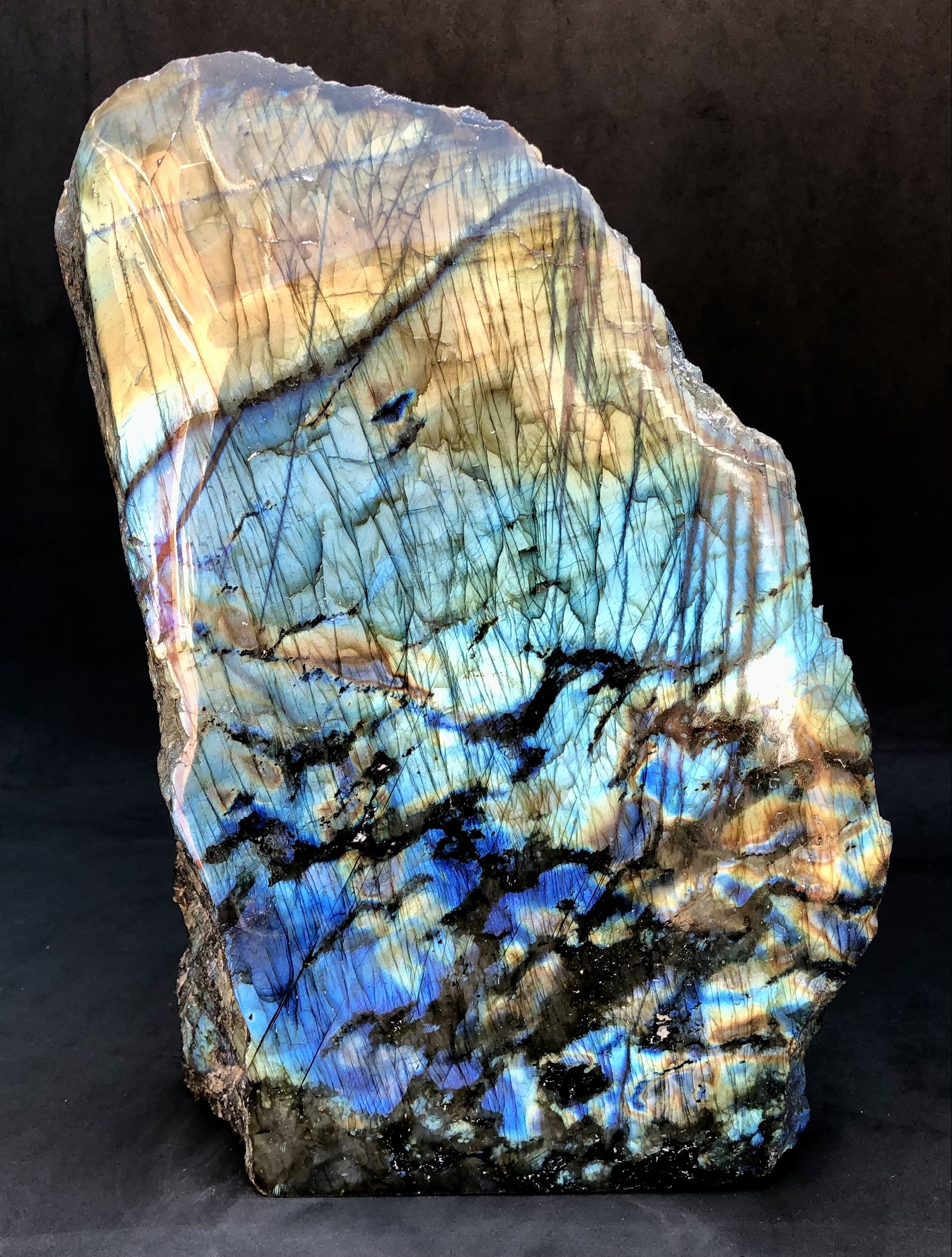 Multicolor One Side Polished Labradorite Free Form 9.33 Lb