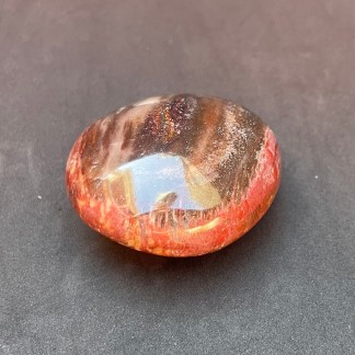 Petrified Wood Palm Stone