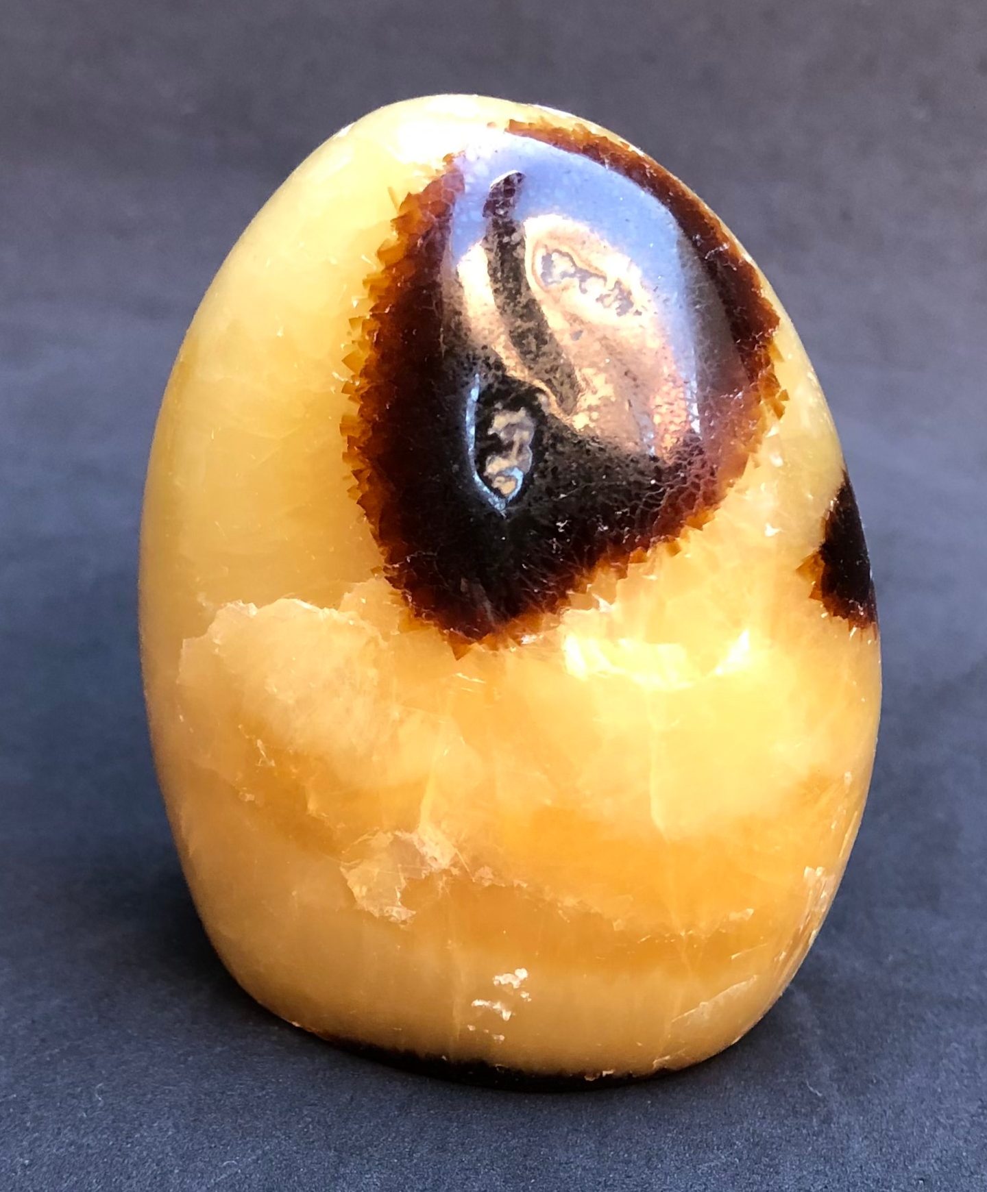 Intricate Septarian Free Form 5.61 oz