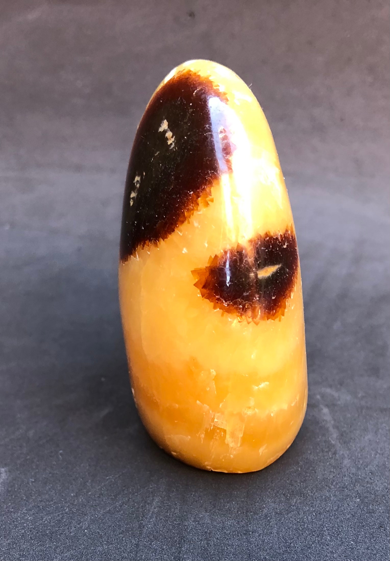 Intricate Septarian Free Form 5.61 oz - Image 4