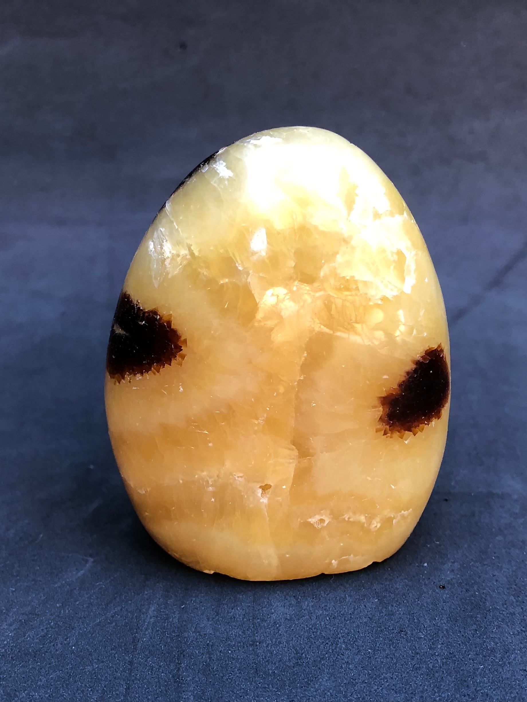Intricate Septarian Free Form 5.61 oz - Image 5