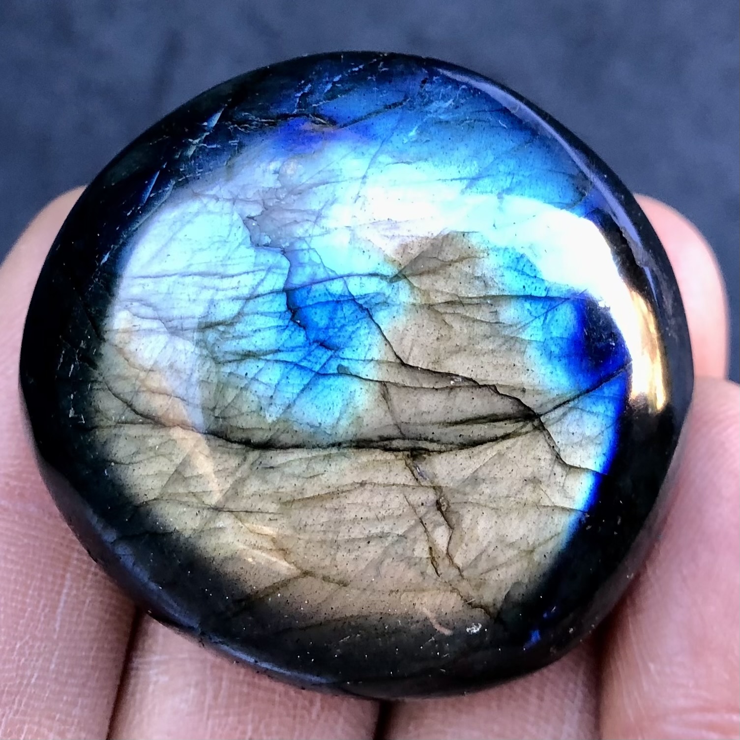 Azure-Gold Labradorite Palm Stone 2.36 oz