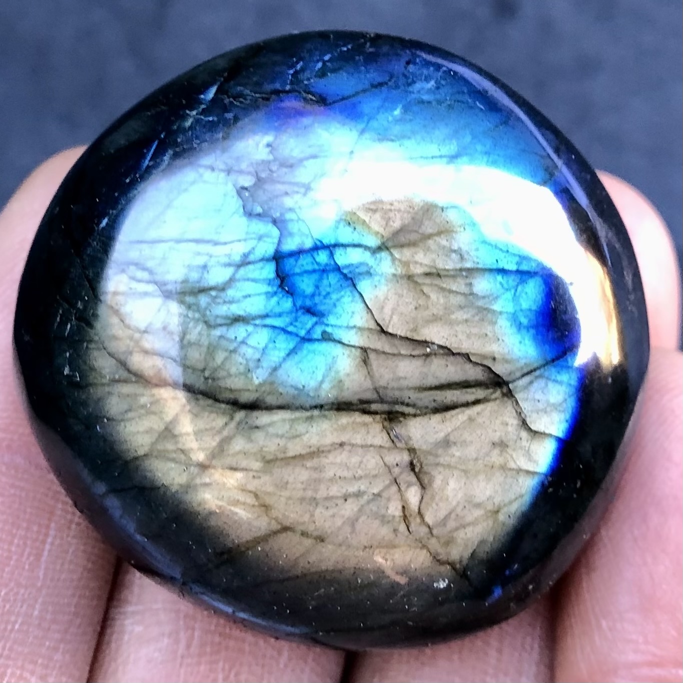 Azure-Gold Labradorite Palm Stone 2.36 oz - Image 6